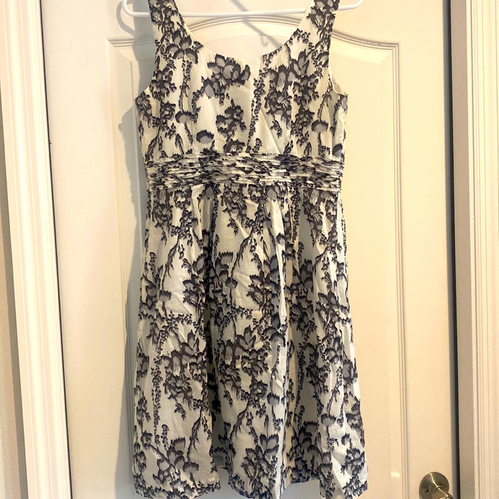 Womens Loft Dress